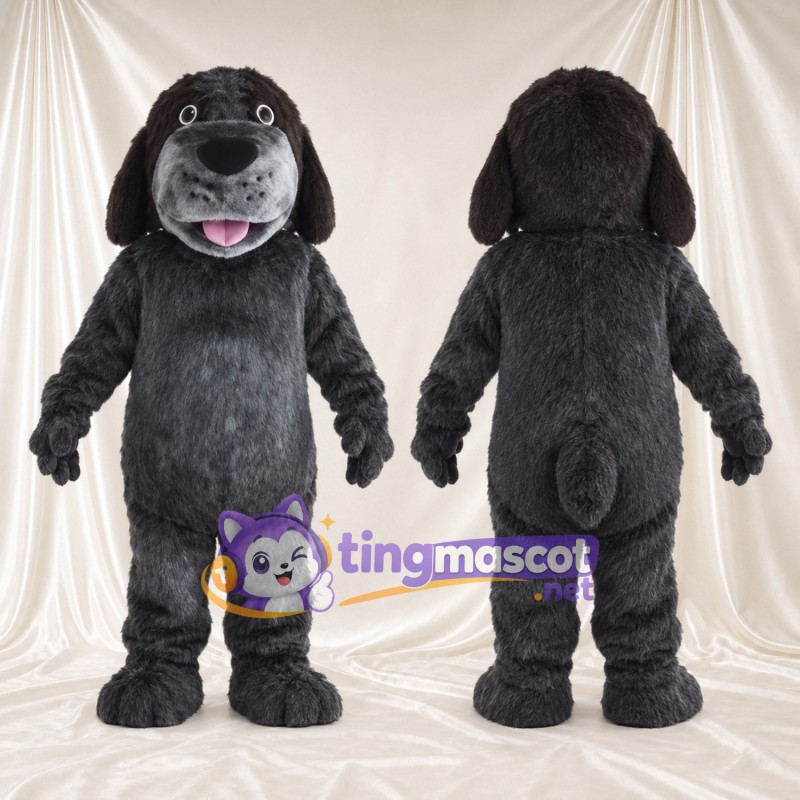 Costume de mascotte Chien – noir – Oreilles tombantes