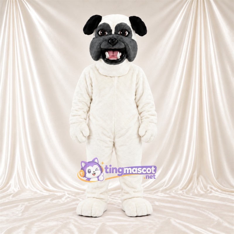 Costume de mascotte Bouledogue – blanc – Visage (noir); Oreilles Costume de mascotte Bouledogue – blanc – Visage (noir); Oreilles
