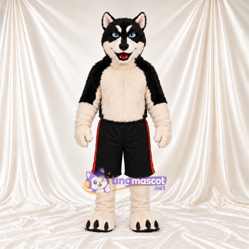 Maskottchenkostüm Husky – schwarz / weiß – Shorts (schwarz); Bauch (creme) Maskottchenkostüm Husky – schwarz / weiß – Shorts (schwarz); Bauch (creme)