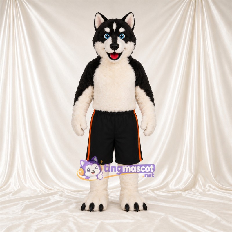 Maskottchenkostüm Husky – schwarz / weiß – Shorts (schwarz); Krallen (schwarz) Maskottchenkostüm Husky – schwarz / weiß – Shorts (schwarz); Krallen (schwarz)