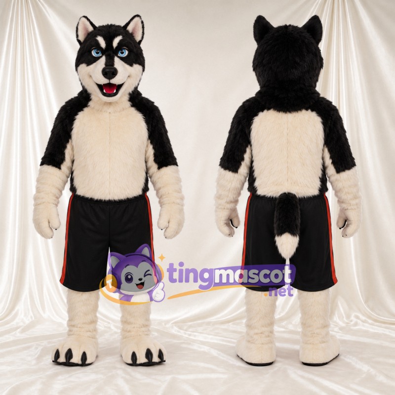 Maskottchenkostüm Husky – schwarz / weiß – Shorts (schwarz); Bauch (creme)