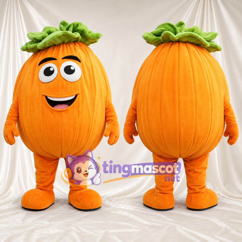Costume de mascotte Citrouille – orange – Feuille (vert); Couronne