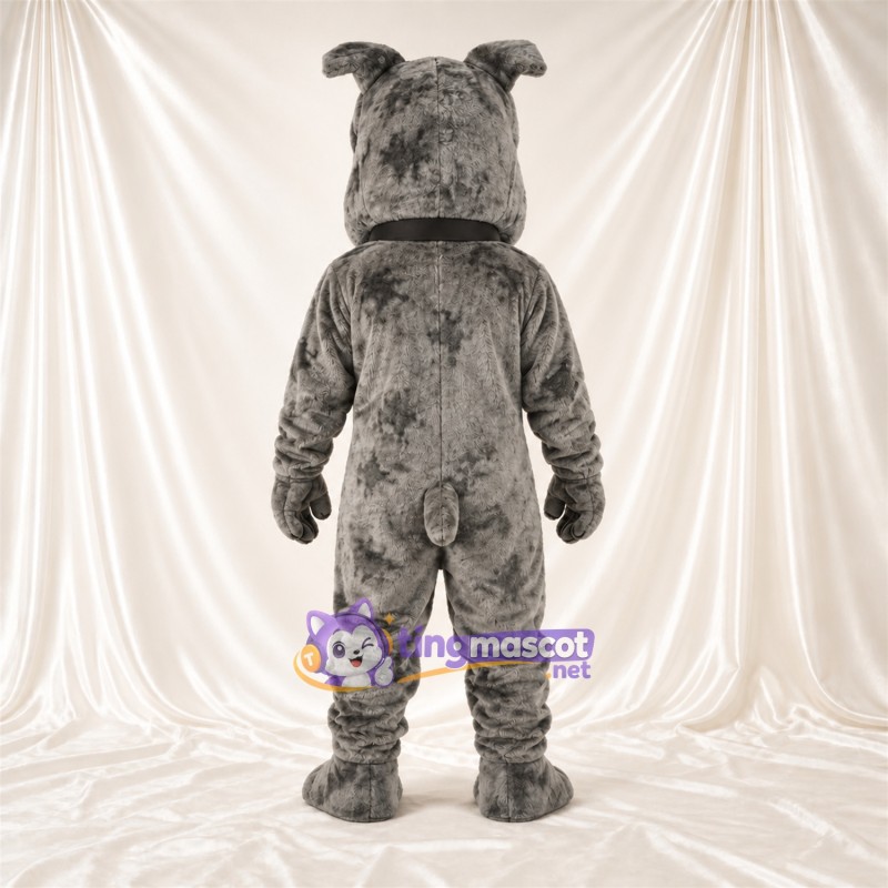 Gray Bulldog Mascot Costume - Pointed Fangs and Studded Collar Gray Bulldog Mascot Costume - Pointed Fangs and Studded Collar