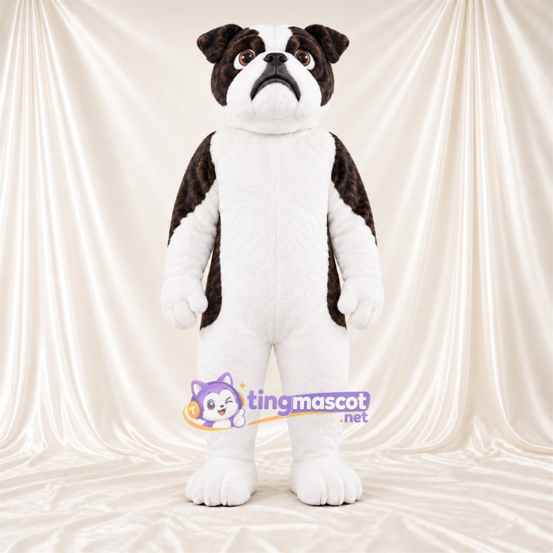 Maskottchenkostüm Bulldogge – braun / weiß – Bauch (weiß); Unterschenkel (weiß) Maskottchenkostüm Bulldogge – braun / weiß – Bauch (weiß); Unterschenkel (weiß)
