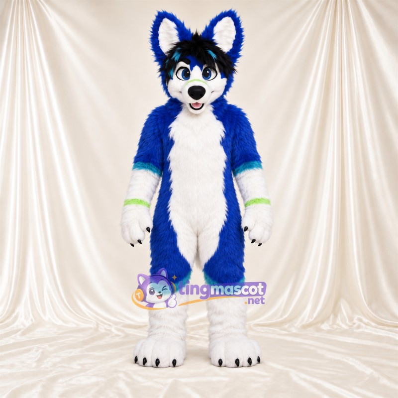 Maskottchenkostüm Husky – blau / weiß – Bauch (weiß); Hand- und Fußgelenkbänder (grün) Maskottchenkostüm Husky – blau / weiß – Bauch (weiß); Hand- und Fußgelenkbänder (grün)