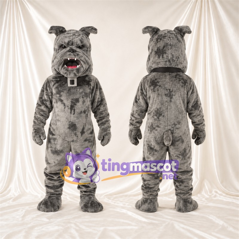 Gray Bulldog Mascot Costume - Pointed Fangs and Studded Collar