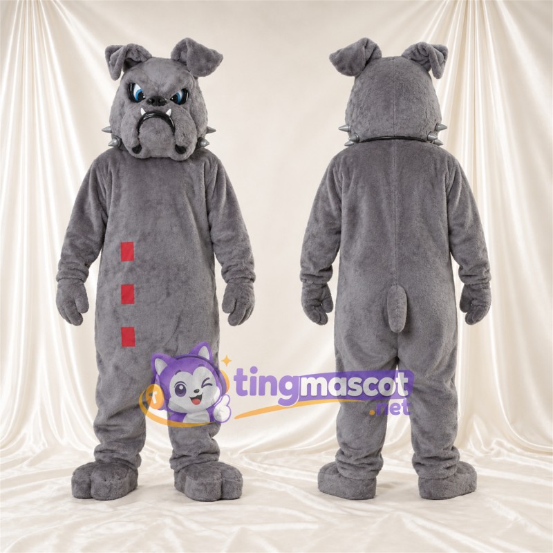 Costume de mascotte Bouledogue – gris – Yeux (bleu); Collier à pointes