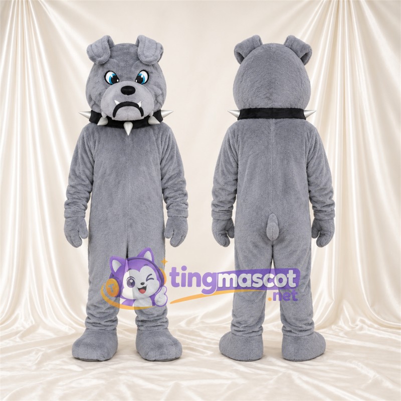 Costume de mascotte Bouledogue – gris – Yeux (bleu); Collier à pointes