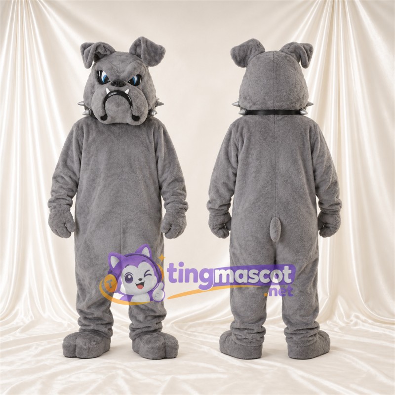 Costume de mascotte Bouledogue – gris – Yeux (bleu); Collier à pointes
