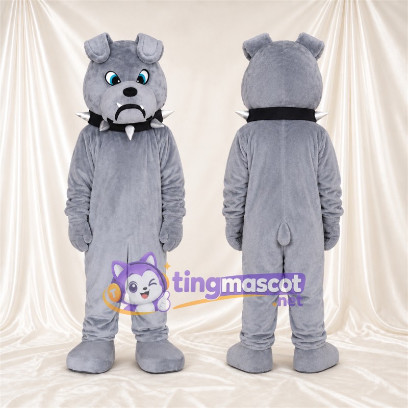 Costume de mascotte Bouledogue – gris – Yeux (bleu); Collier à pointes