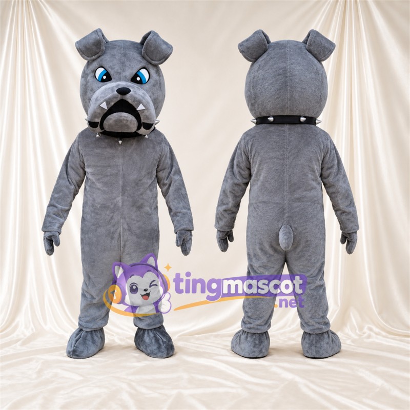 Costume de mascotte Bouledogue – gris – Yeux (bleu); Col
