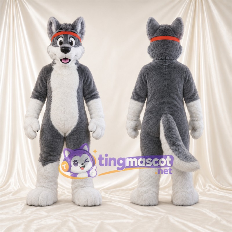 Maskottchenkostüm Husky – grau / weiß – Stirnband (rot)