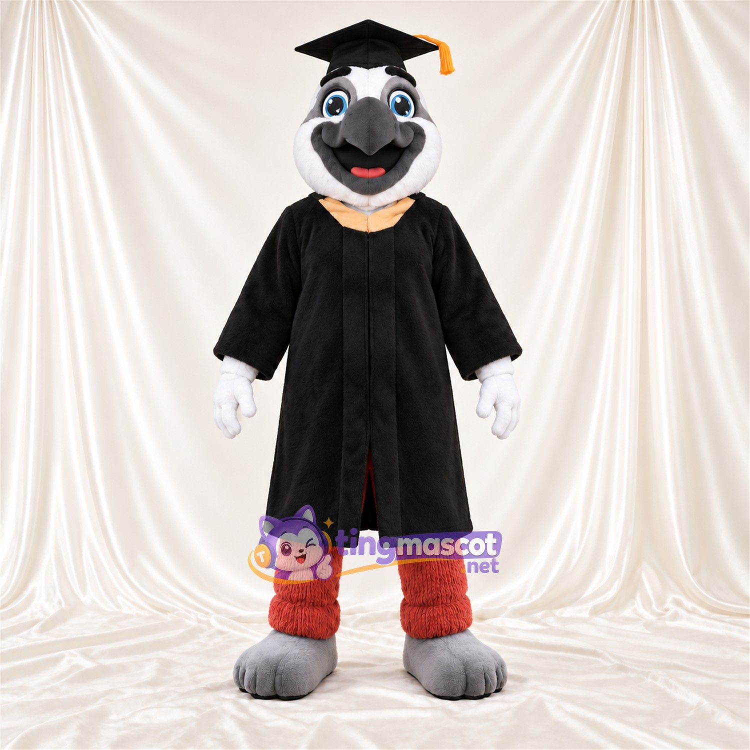 Costume de mascotte Perroquet – gris – Toge de diplômé (noir); Casquette Costume de mascotte Perroquet – gris – Toge de diplômé (noir); Casquette
