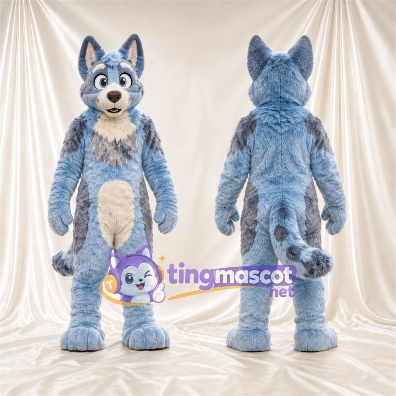 Maskottchenkostüm Husky – blau / weiß – Bauch (creme); Ringelschwanz