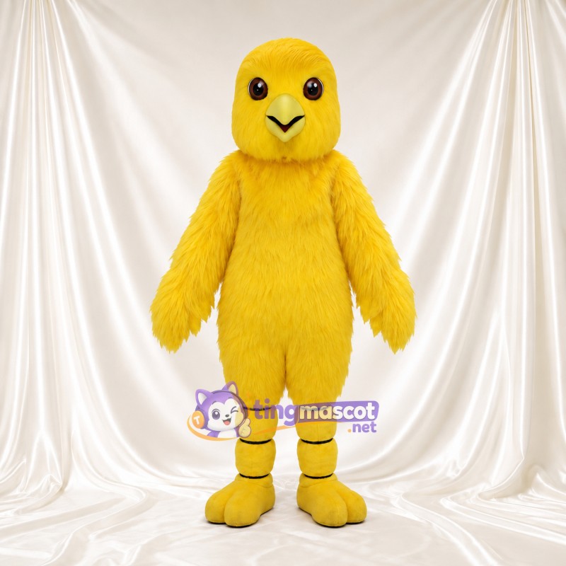 Costume de mascotte Poussin – jaune – Bec (petit); Jambes Costume de mascotte Poussin – jaune – Bec (petit); Jambes
