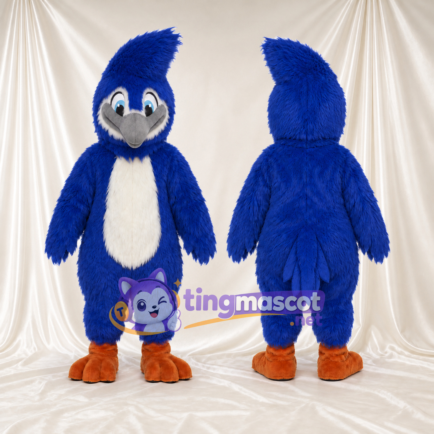 Costume de mascotte Geai bleu – selon la photo – Huppe (relevé vers l’arrière); Ventre (blanc) Costume de mascotte Geai bleu – selon la photo – Huppe (relevé vers l’arrière); Ventre (blanc)