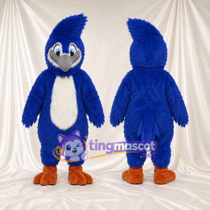 Costume de mascotte Geai bleu – selon la photo – Huppe (relevé vers l’arrière); Ventre (blanc)