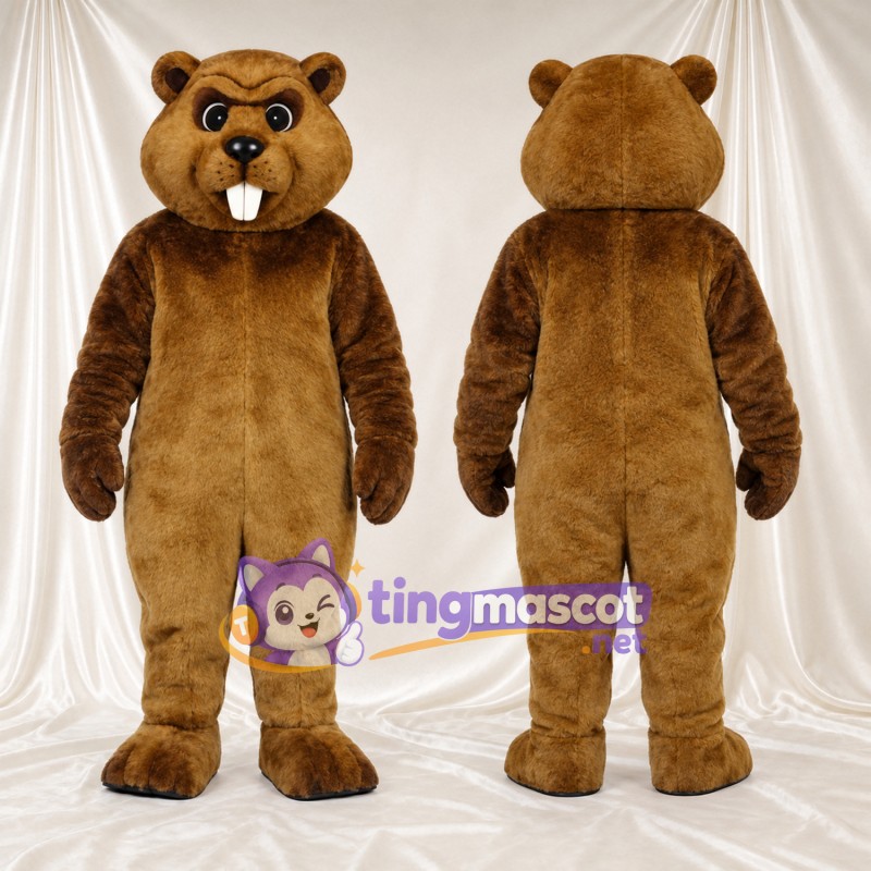 Costume de mascotte Castor – marron – Devant (grand); Dents; Ventre (brun clair)