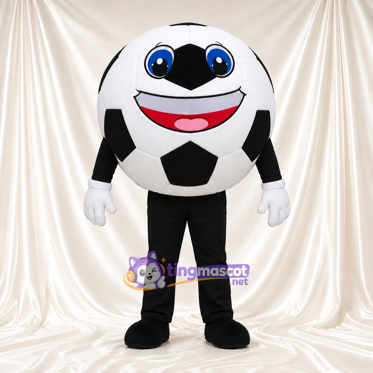Costume de mascotte Ballon de football – selon la photo – Yeux (bleu); Membres (noir)