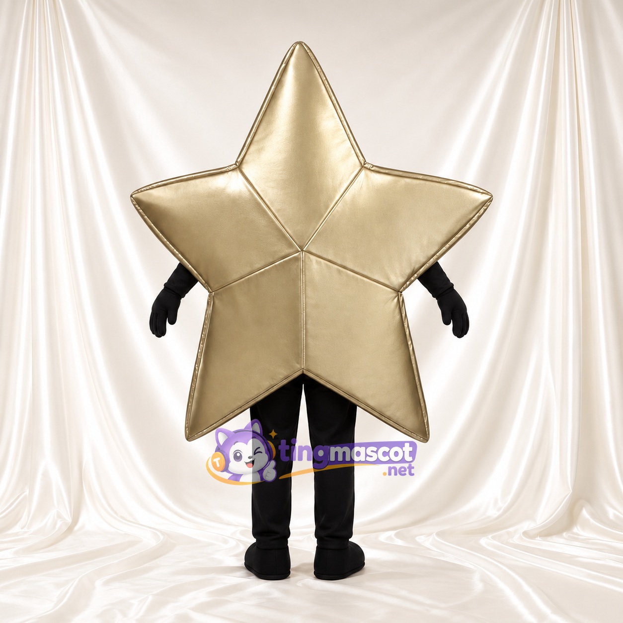 Costume de mascotte Étoile – doré – Corps; Membres (noir)