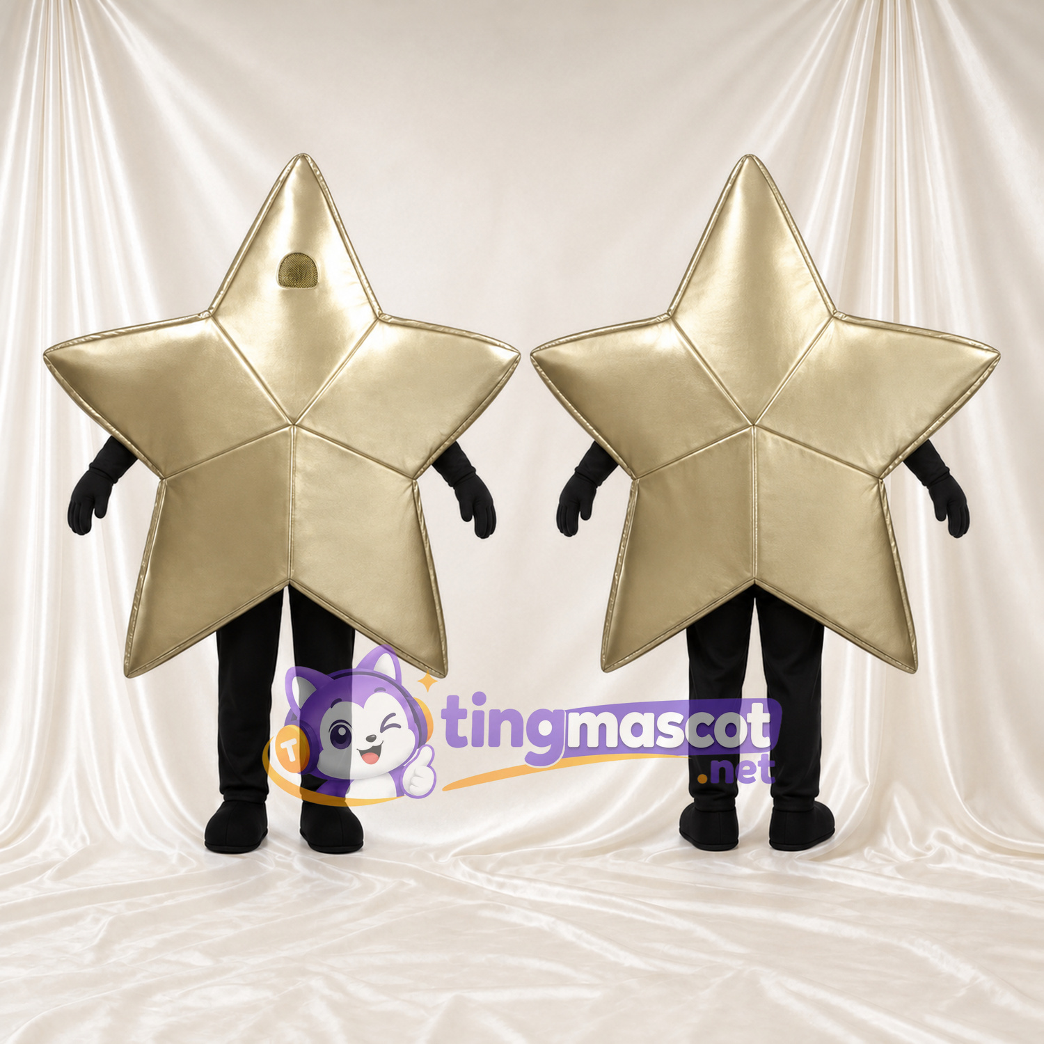 Costume de mascotte Étoile – doré – Corps; Membres (noir)