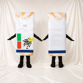 Blackcurrant Package Mascot Costume Full Body for Adults Food Events