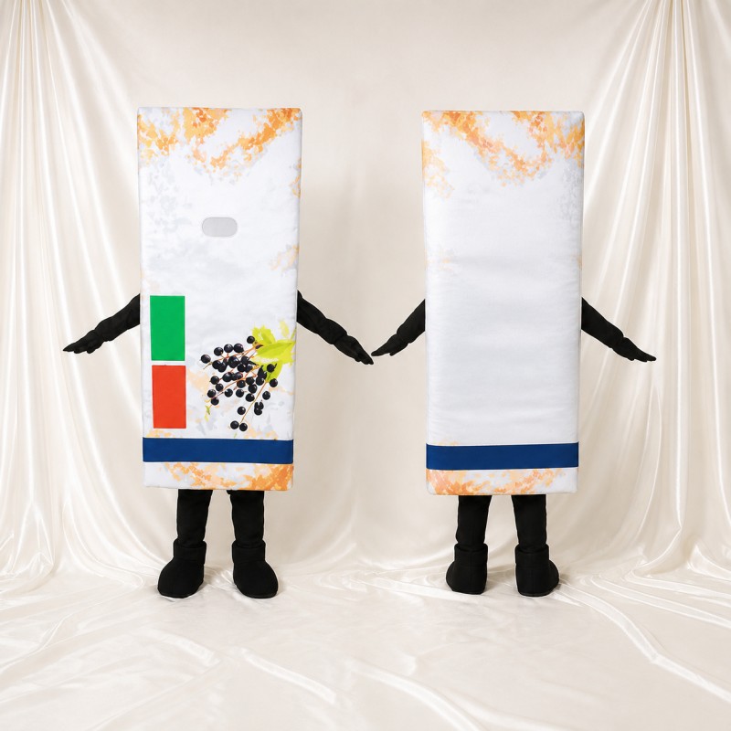 Blackcurrant Package Mascot Costume Full Body for Adults Food Events
