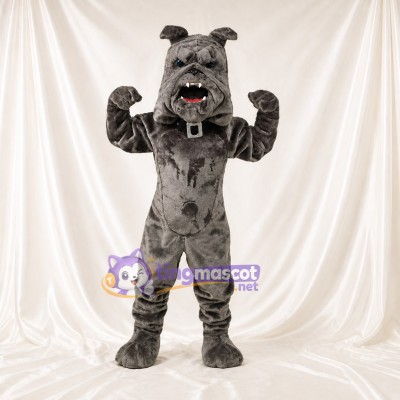 Bouledogue gris Costume de mascotte intégral pour adultes Événements sportifs