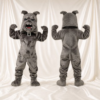 Bouledogue gris Costume de mascotte intégral pour adultes Événements sportifs