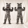 Bouledogue gris Costume de mascotte intégral pour adultes Événements sportifs