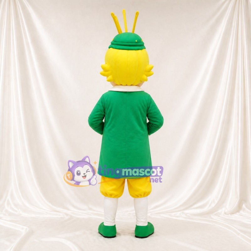 Fantasy Boy Mascot Costume Full Body for Adults Outdoor Events