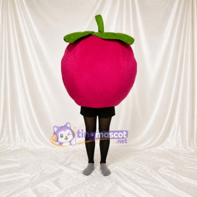 Berry Mascot Costume Full Body for Adults Food Events