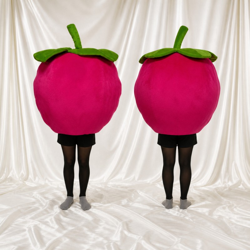Berry Mascot Costume Full Body for Adults Food Events
