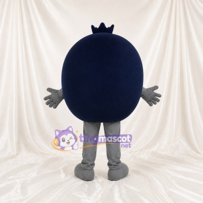 Berry Character Mascot Costume Full Body for Adults Events