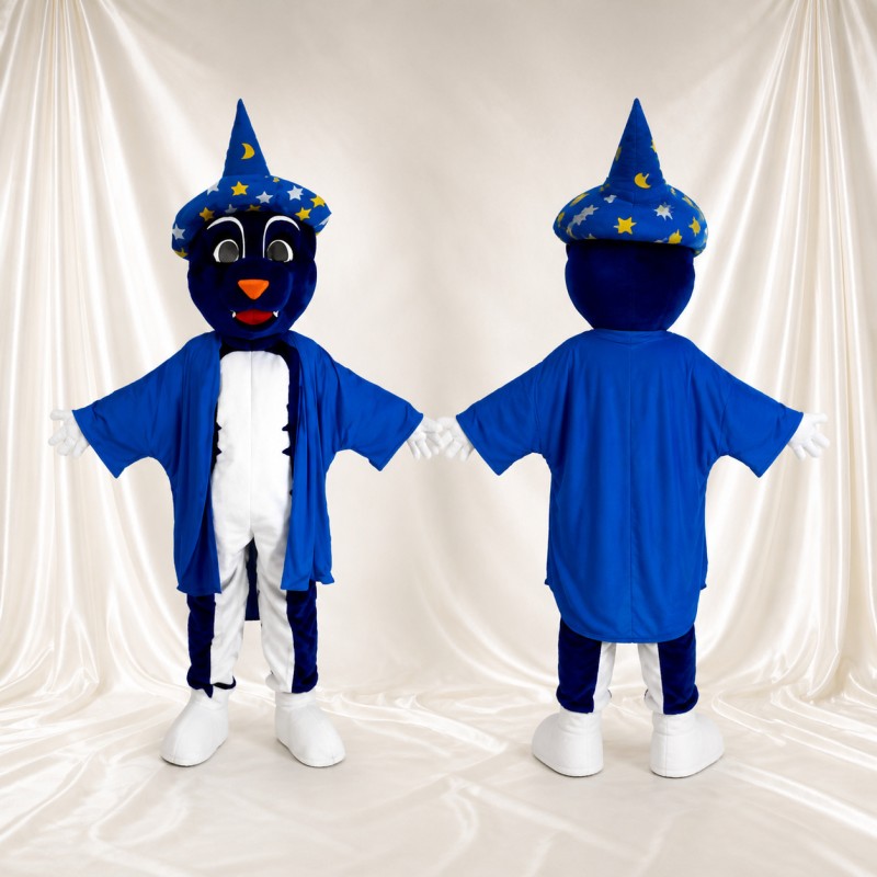 Wizard Mascot Costume Full Body for Adults Outdoor Events