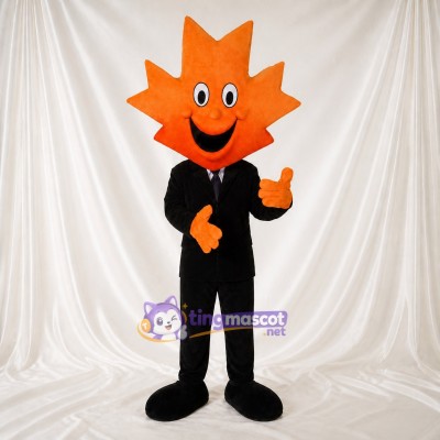 Sun Character Mascot Costume Full Body for Adults School Events