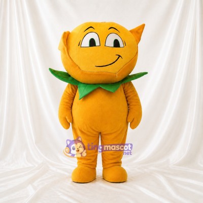 Orange Fruit Mascot Costume Full Body for Adults Events