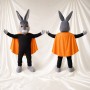 Costume de mascotte lapin héros intégral pour adultes – événements caritatifs