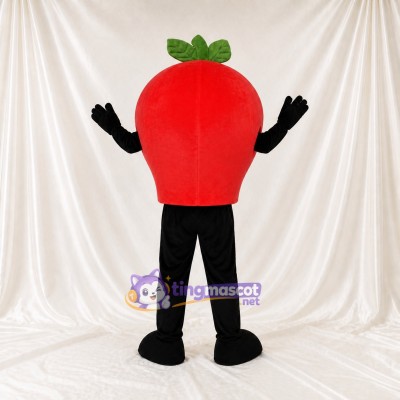 Fruit Leaf Apple Mascot Costume Full Body for Adults School Events