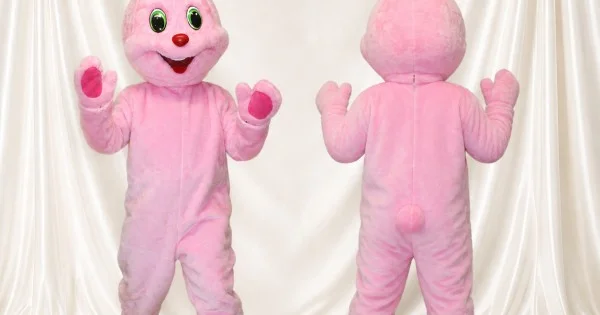 Turtle Rabbit Costume Pink Rabbit Mascot Costume for Schools | Tingmascot