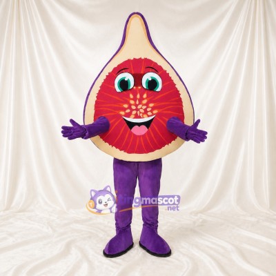 Fig Character Mascot Costume Full Body for Adults Food Events