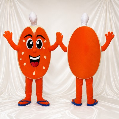 Capsule Character Mascot Costume Full Body for Adults Promotions