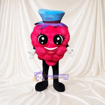 Raspberry Mascot Costume Full Body for Adults Food Events