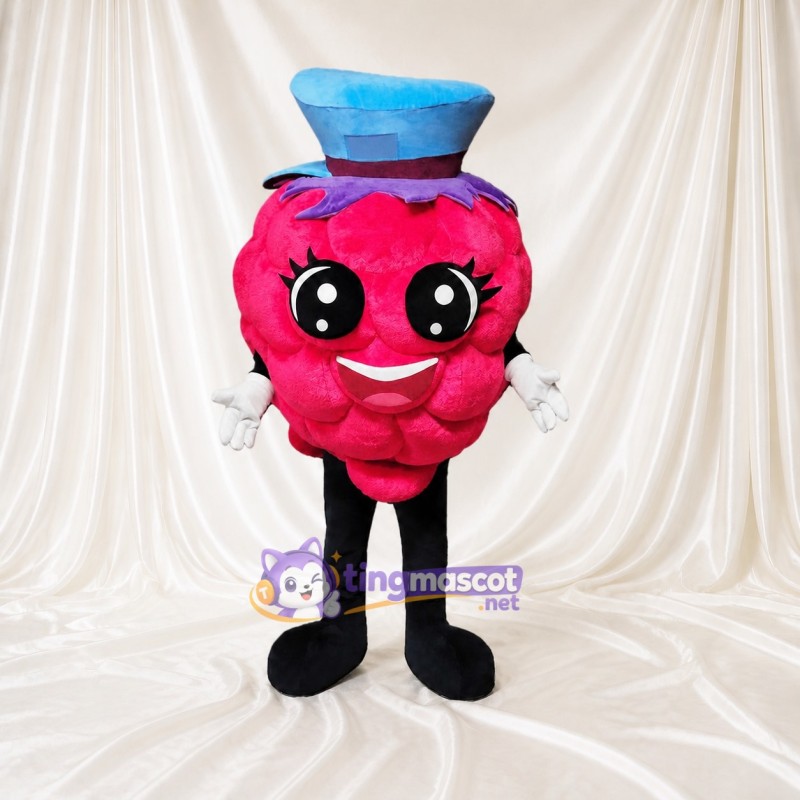 Raspberry Mascot Costume Full Body for Adults Food Events