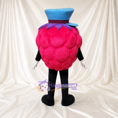 Raspberry Mascot Costume Full Body for Adults Food Events
