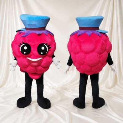 Raspberry Mascot Costume Full Body for Adults Food Events