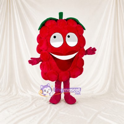Red Raspberry Mascot Costume Full Body for Adults Food Events