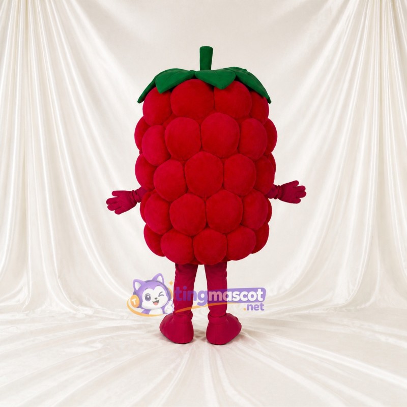 Red Raspberry Mascot Costume Full Body for Adults Food Events