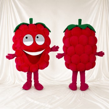 Red Raspberry Mascot Costume Full Body for Adults Food Events