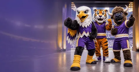 Sports Mascot Costumes Sports Mascot Costumes